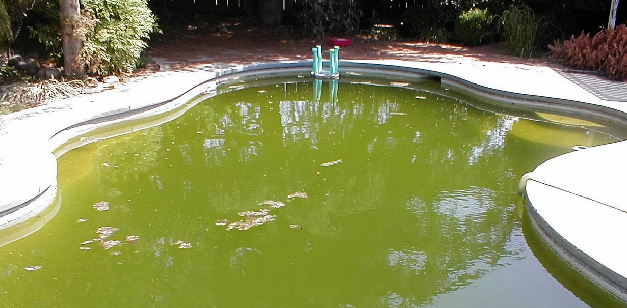 Green Stains In The Pool