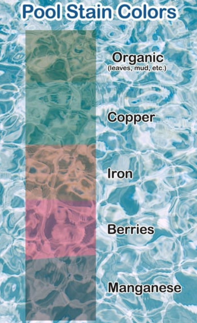 Pool Liner Stain Colors