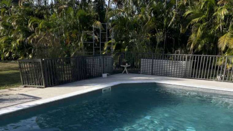 Tropical-inspired Pool Designs