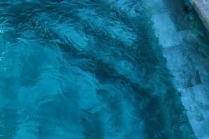greenocean_pool_2