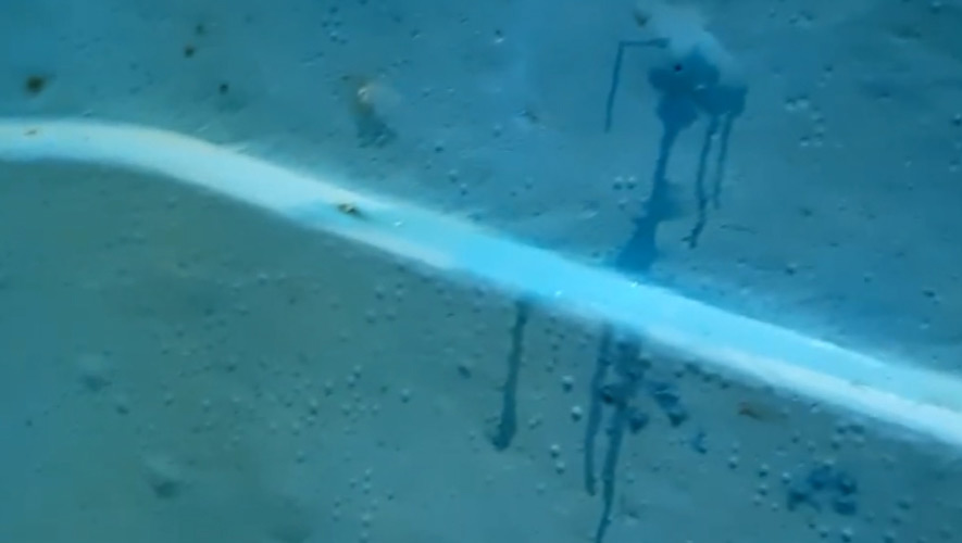 Damaged Fiberglass Pool Surface