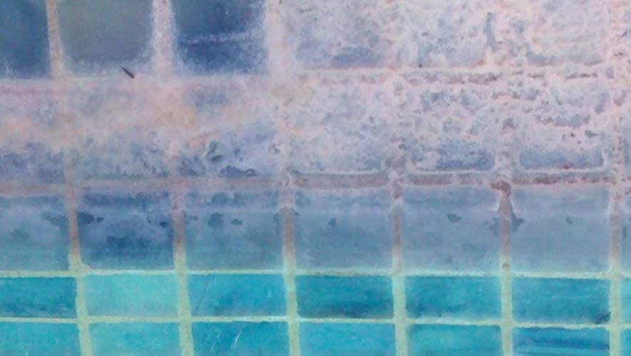 Sakko-Pool-construction-company-tile-discoloration Sakko-Pool-construction-company-tile-discoloration